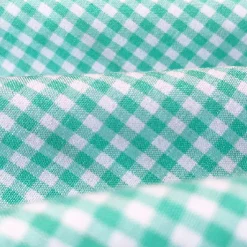 State and Liberty "The Charley" Mint Green Gingham